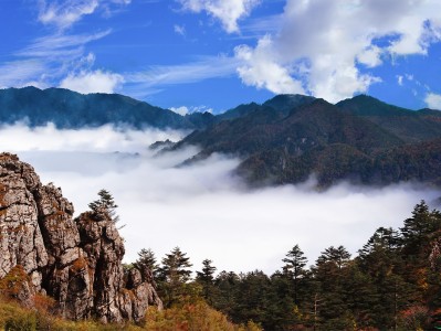 昆明神农架：秘境之旅，云海奇观，草原牧歌，探寻世外桃源